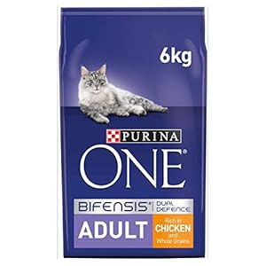 Purina ONE Adult Dry Cat Food Chicken and Wholegrains 6kg, Packaging May Vary