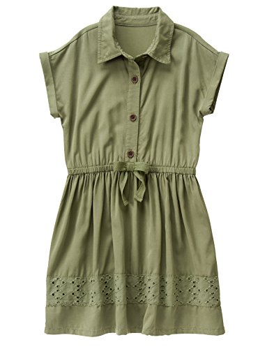 Crazy 8 Girls' Big Olive Shirt Dress
