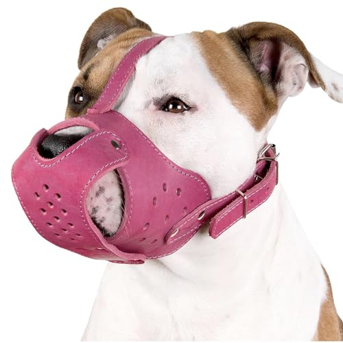 CollarDirect Dog Muzzle Pitbull Amstaff Basket Genuine Leather Staffordshire Terrier (Pink)