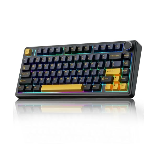 AULA F75 75% Wireless Mechanical Keyboard | Hot Swappable | Pre-lubed Linear Switches | RGB Backlit | 2.4GHz/Type-C/Bluetooth Gaming Keyboard (Keyboard, Thunder Black+GrayWood Switch)