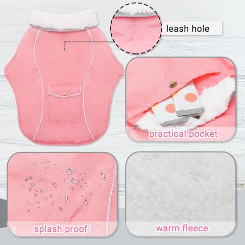 Manteau d'hiver pour chien protégeant les petits chiens du vent et du gel - 4