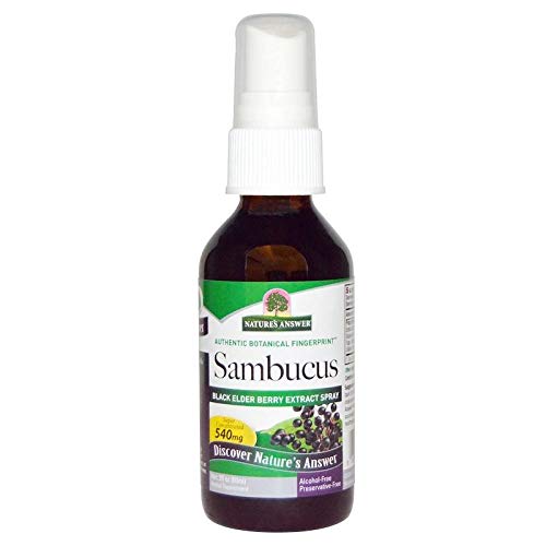 Nature's Answer, Sambucus, Black Elder Berry Extract Spray, Alcohol-Free, 2 fl oz (60 ml)