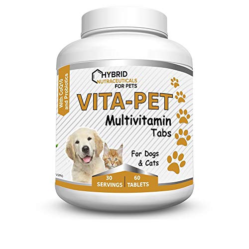 Best Coq10 For Cats