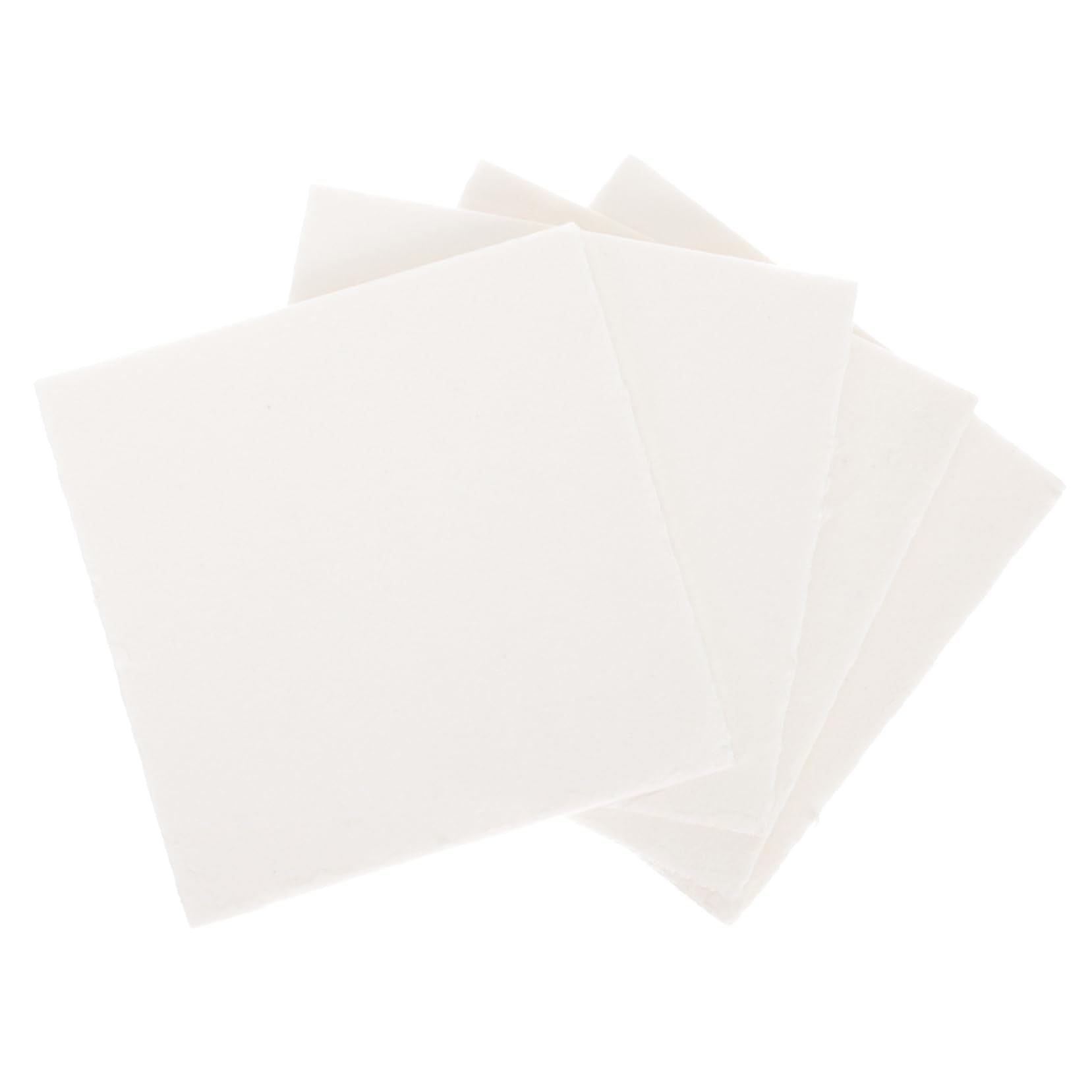 PHENOFICE Flower Pressing Plates 4pcs Absorbent Paper Blotter Paper for Plant Press