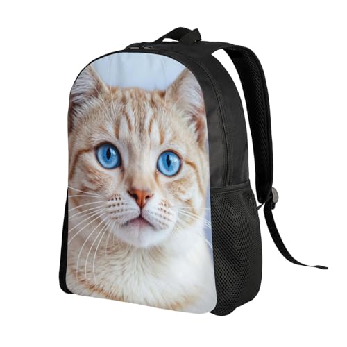 High Capacity Close up Beautiful Cat with Striking Blue Eyes Orange Fur Backpack Multipurpose Bag Double Unisex 16 in2