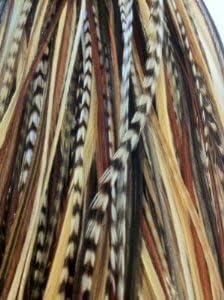 Feather Hair Extension – Dark Brown, Black, and Beige Feathers, All Bunched Together at the Tip, Ranging From 7 to 11 Inches in Length, With a Total of 5 Feathers