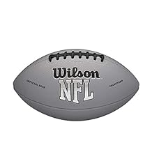 WILSON NFL Recreational Footballs