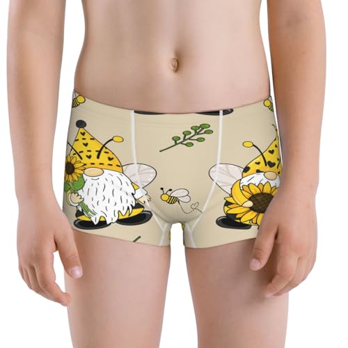 Boys' Cotton Boxer Brief Soft Underwear-Gnomes Bees And Sunflowers