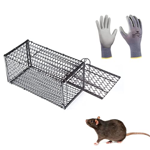 Trampa Jaula para Ratas y Ratones- Portacebo Interior para Ratas De Gran Tamaño Y Ratones-Ratonera De Metal Hierro-Atrapa Roedores Vivos-Trampa Reutilizable Profesional 12x12x24cm-Kit Guantes