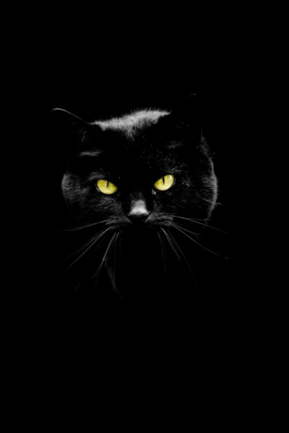 Notebook with Cat: Wide Ruled - 100 Pages - 6x9 - Black Background
