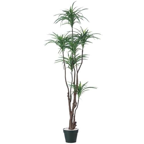 �j�g��(NITORI) �t�F�C�N�O���[�� ���b�J HT 8241259