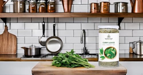 Image of Nature's Park Herb - Curry Leaves Dry Kadi Patta in Pet Jar (40gm)