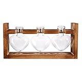 Décoration pour vase en verre : vase en verre avec support en bois, pour une touche d'originalité, support pour jardinière hydroponique
