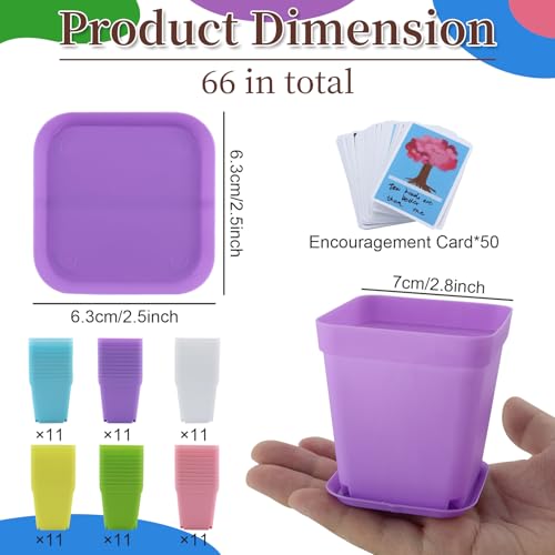 JRSHIRLEYLTD Lot de 66 pots de culture, 7 cm, carrés, avec soucoupe, petits pots de fleurs, en plastique, pour graines de plantes succulentes, multicolores – vue 2