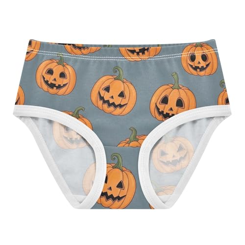 Orange Lantern Pumpkins Halloween Toddler Girls Underwear 2t Cotton Girl Panties Cute Fun Underpants Briefs