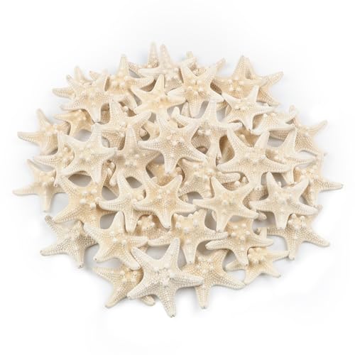 TaoQ C 48 PCS Starfish, Mini Starfish 1