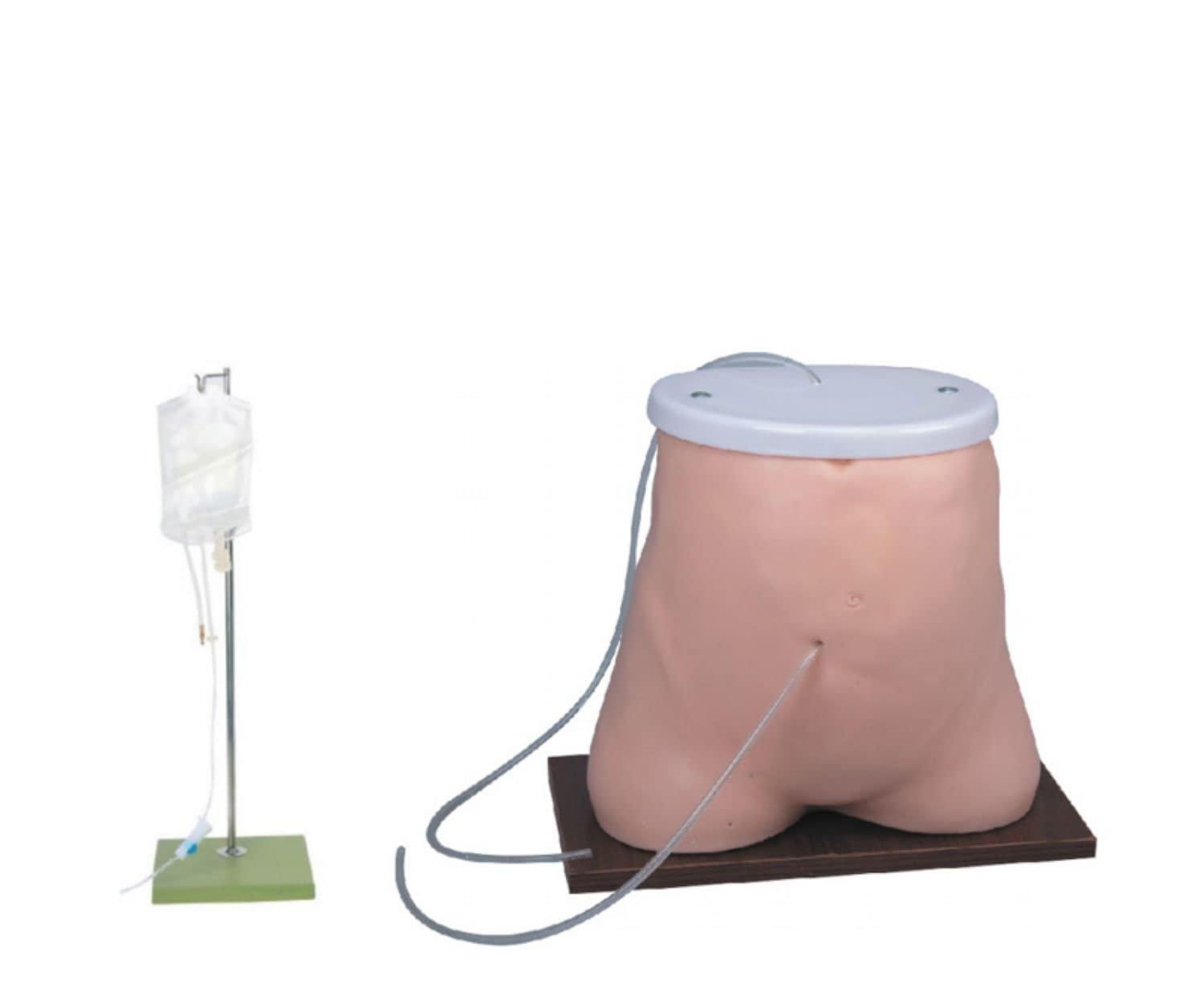 Simulateur de dialyse péritonéale Modèle anatomique pour l'éducation médicale – Mannequin d'anatomie humaine pour l'entraînement et la pratique