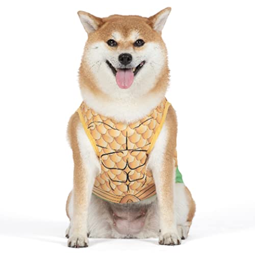 DC - Disfraz de superhéroe Aquaman de Halloween para perros, grande, disfraz de superhéroe de DC...