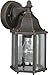 Forte Lighting 1742-01-28 Traditional 1 Light Exterior Wall Lantern, Painted Rust Finish with Clear Beveled Glass