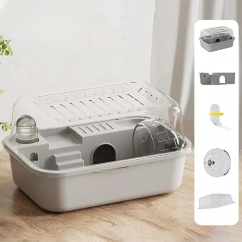 Tuyiutm nX^[P[W nX^[nEX P[W S[fnX^[ bg nlY~ ঒ P[W AN  Eoh~ ^P[W Kŕ֗ ϋv ʋC gCfUC (O[)