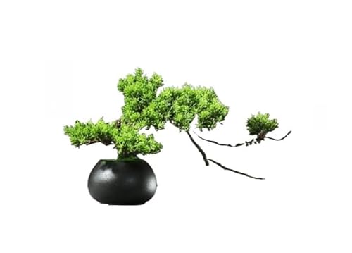 Fiozwea lHEFJpC~ tFCNc[ ^A I[ig tBIYEBA ItBXfXN fXNgbv eB[[ TX^C hEh x[X ȒPɔzuύX\ tLVuȑ (B)