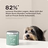 10-in-1 Zahnpflege Leckerli für Hunde - Fresh Smile 120 Snacks (350g) von mammaly - Gegen Mundgeruch, Zahnstein mit Pfefferminz, Seealge, Vitamin C, Petersilie u. v. m. für Maulhygiene, Mundpflege