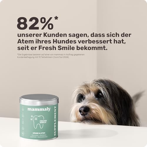 10-in-1 Zahnpflege Leckerli für Hunde - Fresh Smile 120 Snacks (350g) von mammaly - Gegen Mundgeruch, Zahnstein mit Pfefferminz, Seealge, Vitamin C, Petersilie u. v. m. für Maulhygiene, Mundpflege