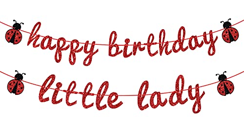 Ladybug Theme Happy Birthday Little Lady Banner - Girls Baby Shower/Birthday Party Backdrops- Babys 1st/2nd/3rd Barthday Decorations Supplies for Girl