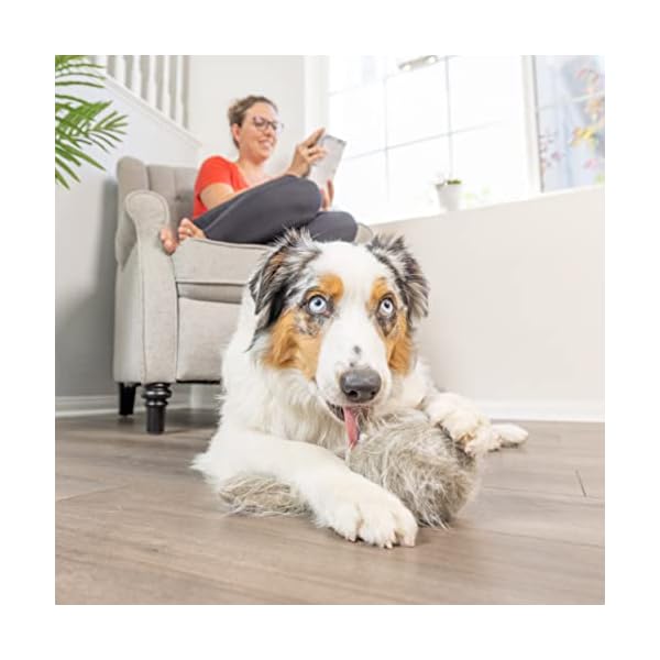 Interactive Plush Dog Toys