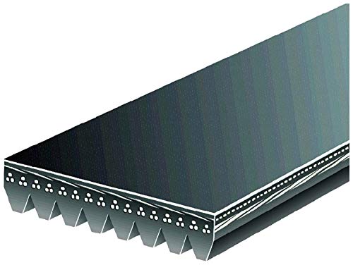 Courroie 2PJ845 ACDelco serpentine striée pour poulie alternateur auto