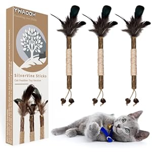 Cat Toys, 3 PCS Natural Silvervine Sticks with Feather, Interactive Cat Toy, Cat Chew Toys for Cat Dental Care, Matatabi Kitten Teething Toys, Cat Feather Toys – Relieve Cat Anxiety and Stress