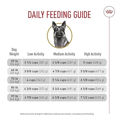 Royal Canin Breed Health Nutrition German Shepherd Adult Dry Dog Food, 5 lb Bag