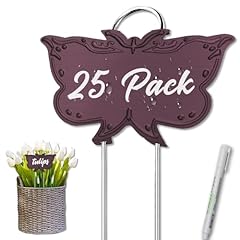 Purplish Red Butterfly