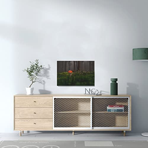 Foret champignon rouge tableau toile imprimée pour mur sombre