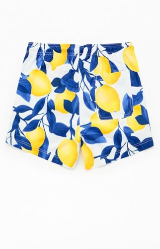 PacSun Men's Lemons Eco 4.5" Swim Trunks2