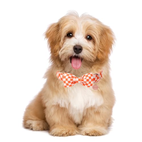 Image of Fall Dog Collar with Bow Tie, Orange Plaid Bowtie Dog Collar, Autumn Bowtie Collars for Puppy Boy Girl Dogs, Comfortable Cotton Dogs Collars with Metal Buckle