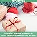 M METERXITY 2-Rolls Polyester Nylon Plastic Rope Twine, 4cm Width 110M Length Household Bundled Plastic Ropes Roll for Crafting/Gardening/Packing/Carrying [360FT/4330IN, Red]