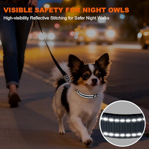 Image of Taglory Reflective Dog Collar for Puppies, Gentle and Safe for Night Walks