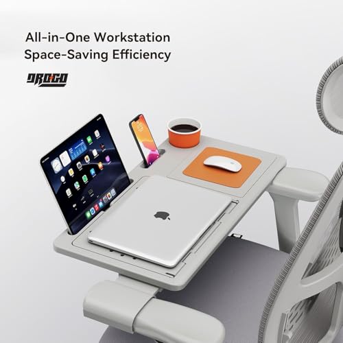 Image of DROGO Ergonomic Office Chair for Work from Home, High Back Computer Chair with Adaptive Lumbar Support, 4D Armrest, Tray, Recline, Adjustable Height & Headrest, Mesh Chair for Office /Home (Grey)