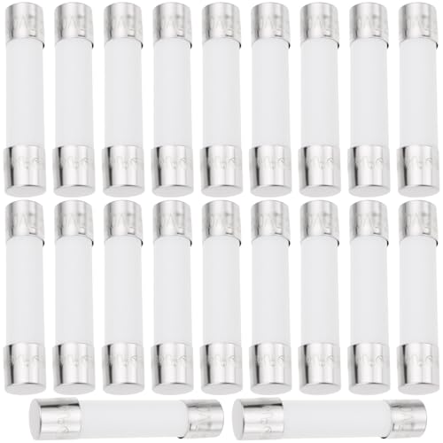 YINETTECH 20 Stück 30 A E-Bike-Akku-Sicherungen, 6 x 30 mm, Keramikkörper, kompatibel mit Silverfish-Akkupacks