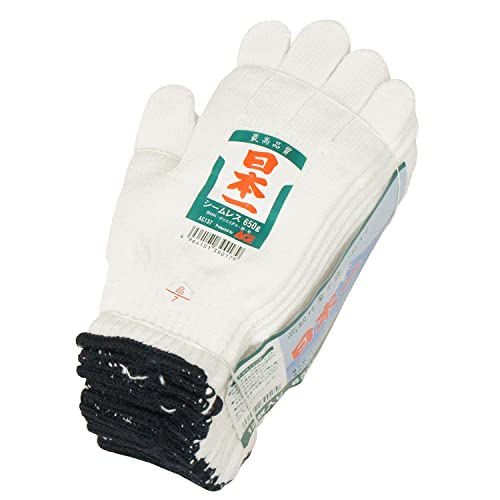 [G[X] a{R 2.5{ 650g V[X 7Q[W AG137