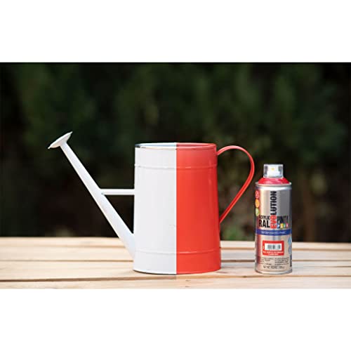 Pintyplus Water Based Spray Paint, 11Oz. Greenguard Gold Certified, Low Gwp Propellant, Low Odor, Matte Varnish Spray Paint. Wood, Metal, Glass, Ceramics, Terra Cotta, Plastic #TOP6