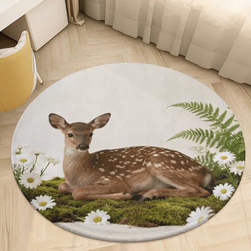 �v���b�V�� �R�[���� �x���x�b�g ���E���h �G���A���O 3�t�B�[�g �����^ 0.5 cm �R�P�n��̎� �t���A�}�b�g ����~�� TPR���n ��p�C�� ����\ �E�F���J���t�����g�h�A�}�b�g �Q�� ���ւ̑����p