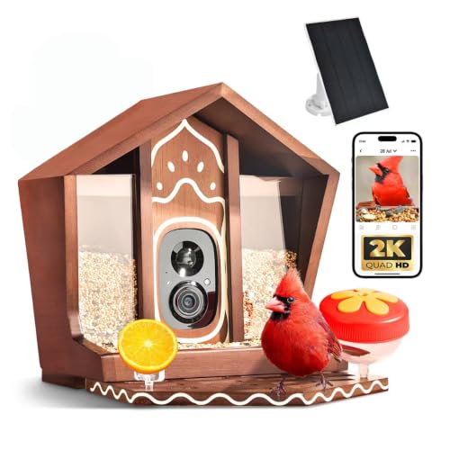 Birdster Smart Bird Feeder with Camera Solar Powered 2K UHD Video