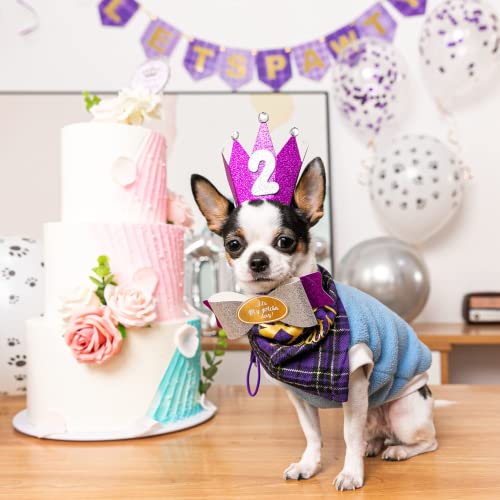 Dog Birthday Party Supplies, Dog Birthday Hat/Bandana/Bowtie/Balloon/Flag/Banner for Small Medium Dogs Pets, Doggie Birthday Party Supplies Decorations - Image 7