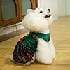 CuteBone Christmas Tree Dog Dress Velvet for Small Dogs Girl Puppy Dresses Green Plaid Dog Clothes CVA05S-D #5