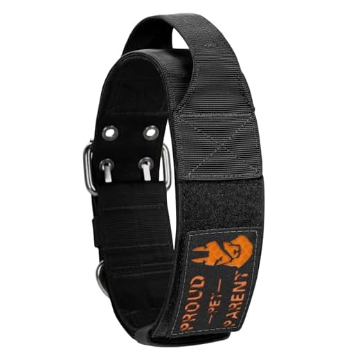 OneTigris Collier pour Chien de 5 cm de Large avec Poignée et Patch pour Grands Chiens - Noir - Taille L