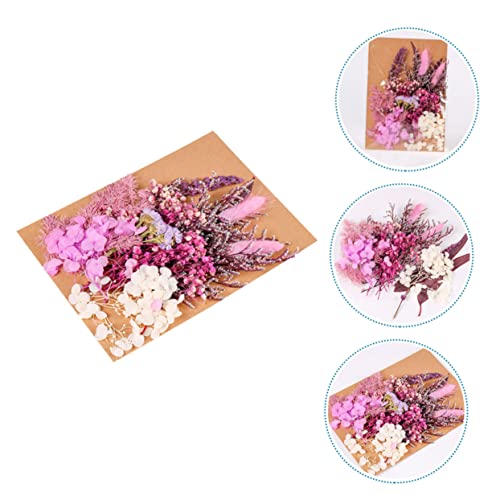 Kit de flores secas para manualidades y decoración miniatura 6