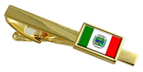 Clip de corbata de oro Porto Real ideal para bodas y reuniones del Estado de Río de Janeiro