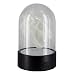 Produktbild Discovery Channel T Rex Skull Light, multicolor